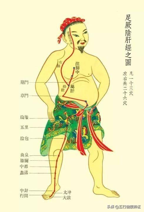 胃受寒恶心，肝受寒头痛，肾受寒肢冷！张仲景是如何温里散寒的？