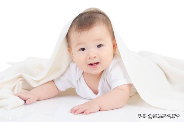 coco什么意思 coco什么意思（coco什么意思男女） 生活