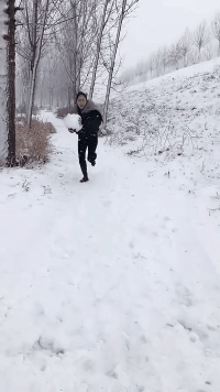爆笑的GIF动态图：大熊猫在线叉腰，可把我牛坏了！