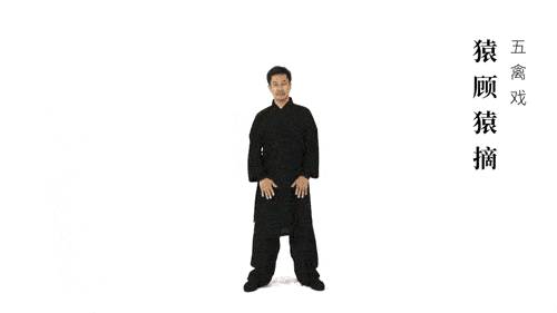 养生气功五禽戏教学（仙家秘传五禽戏：健康长寿）