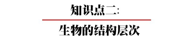 初中各科思维导图全汇总（语文、数学、地理、历史、化学、生物）