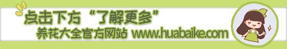 水龙头上安装过滤机