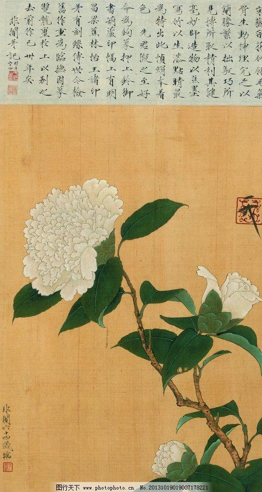 山茶花 山茶花（山茶花的花语） 生活