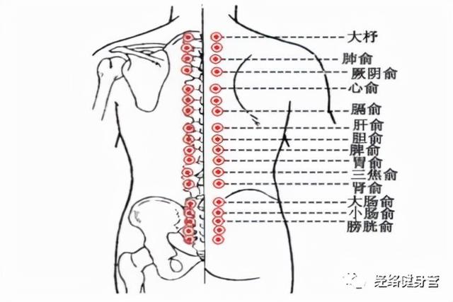 肺气不足，每天拍打2处，疏通肺经，肺气足，调脾胃，护心