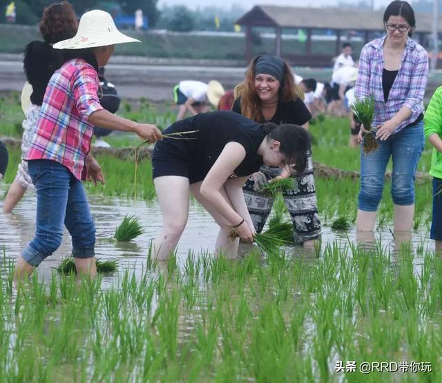 涉川歌词什么意思