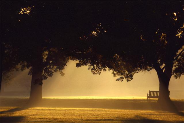 十大禁曲分别是什么歌（十大恐怖禁歌为什么被禁）