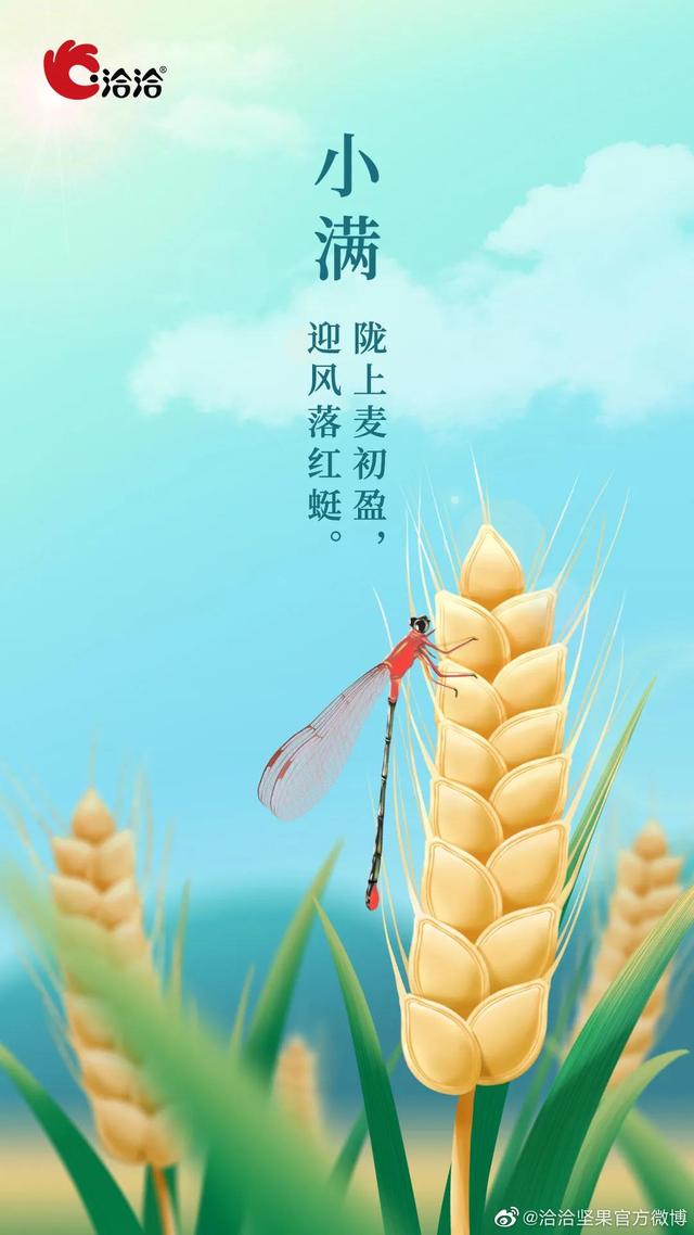 “小满节气”各大品牌借势文案,创意灵感来了