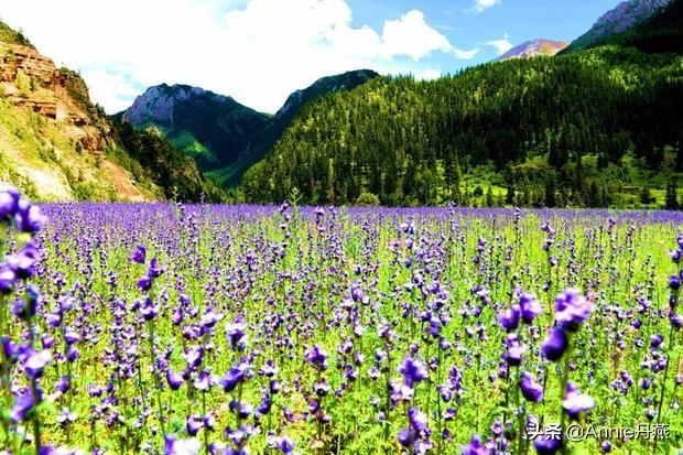 ����׿���ר������(Ϊ�������ԣ�����׿������ز��������δ�ʹ��ν���г�����֤��)