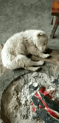 搞笑有趣的GIF图片：妹子有一双好腿，走到哪劈到哪！