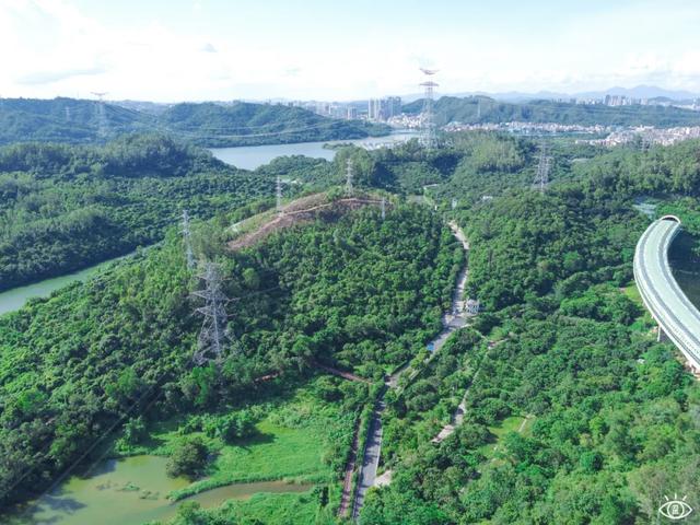 深圳最美绿道，绝了