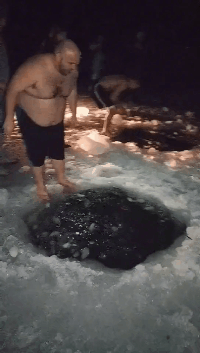 搞笑GIF动态图片：稳，这是只能成大事的狗子