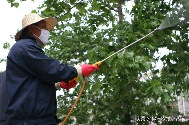 作物上的这3个叶面肥配方，能促长壮棵、增产增收，又能防治病害3