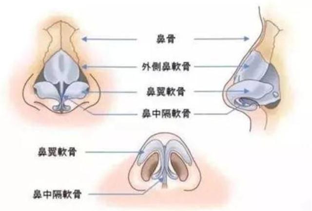袁心冉:整容明星出演电视剧，一眼看出破绽