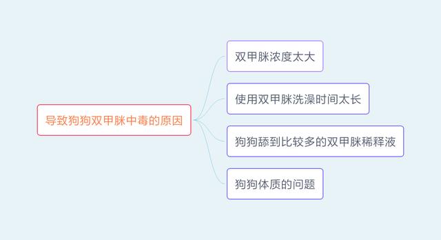 狗狗双甲脒中毒没有解药，宠物主人使用的时候一定不要犯这些错误3