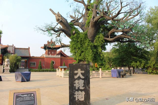 宜君县洗砂带式污泥压滤机