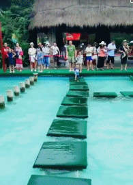 搞笑雷人的动态图GIF：各位老铁给我点勇气，好入洞房