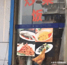 搞笑的GIF动态图片：好看的猫咪千篇一律，带武功的可万里挑一