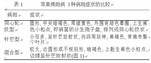 天晴后果园大面积发生褐斑病，果农别担心，赶紧用这些办法防治！4