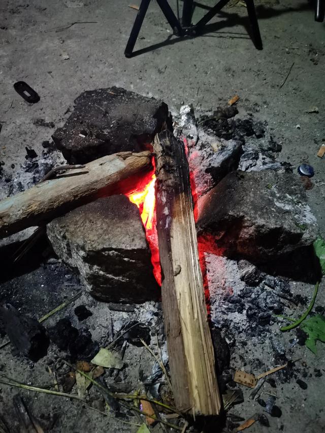 经济学家郎咸平：保险和传销没什么区别