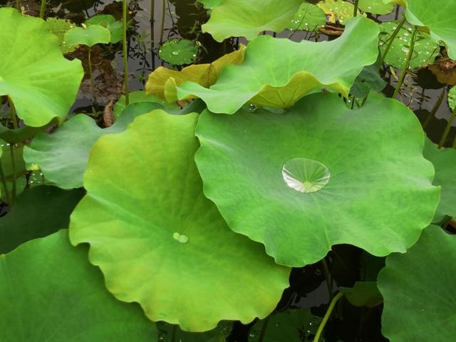 请一定善待自己的孩子