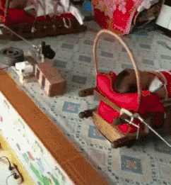 爆笑的GIF动态图片：自从剪了这个头，下雨我再也没有打过伞