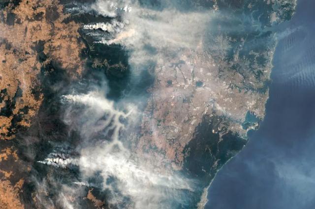 澳洲丛林大火7亿多吨的碳排放被海洋藻类解决了