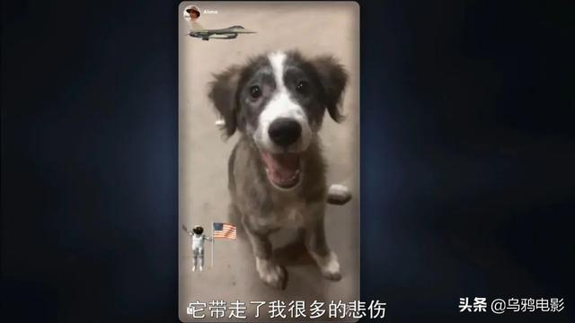 罗德西亚脊背犬