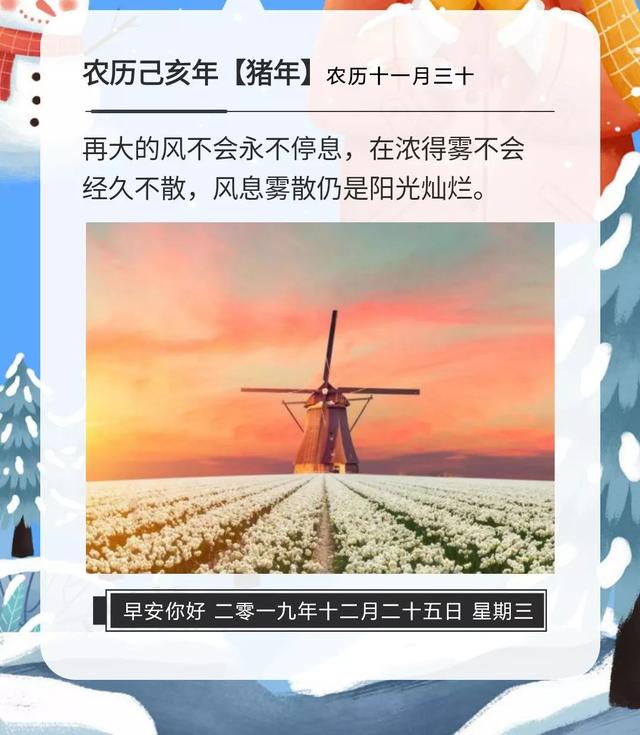 圣诞节早安日签图片：只要我们奋发向上，生命终会化蝇成蝶