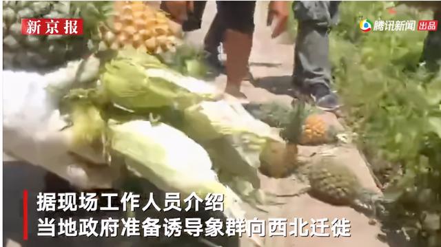 云南挖斗洗砂机现货