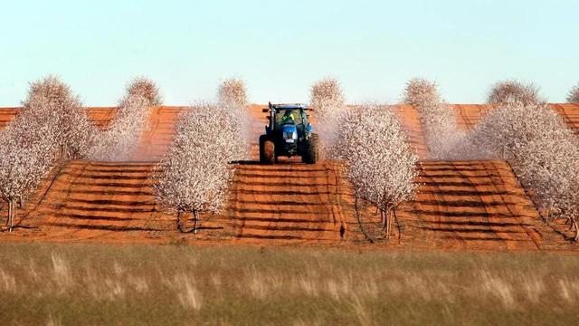 看看世界上都是谁在投资澳大利亚农场？中国有多少份额？