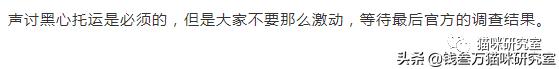 宠物货运托运