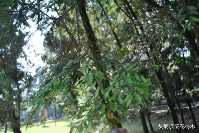 勐腊螺旋洗砂机批发