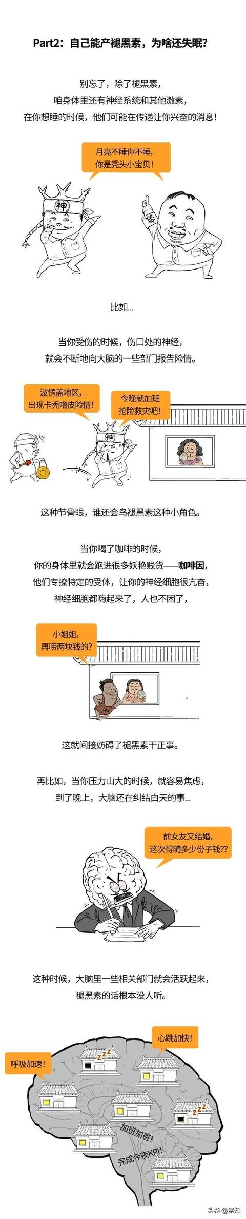 传说中的失眠杀手褪黑素，其实就是个打更的