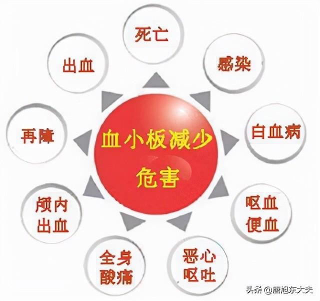吃吃喝喝真管用？血小板减少的中医食疗方法都有哪些？