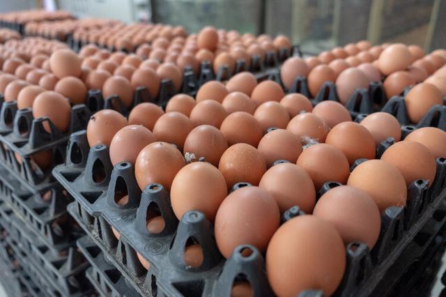 鸡蛋、羊肉竟检出兽药，农药超标87倍！它们对人体有什么危害？3