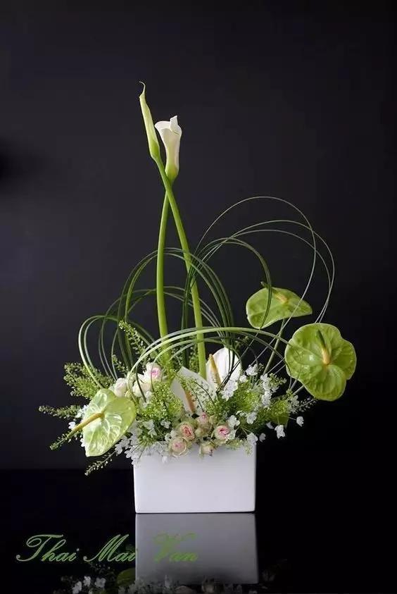 马蹄莲花语 马蹄莲花语（马蹄莲花语象征与寓意） 生活