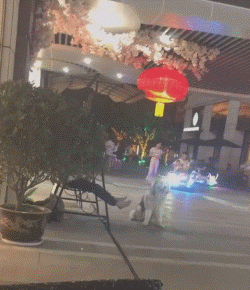 爆笑动图：有些狗子为了家庭真的付出了太多太多