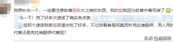 你还在用这些“作死”的方法驱蚊吗？严重可致猫咪中毒死亡！4