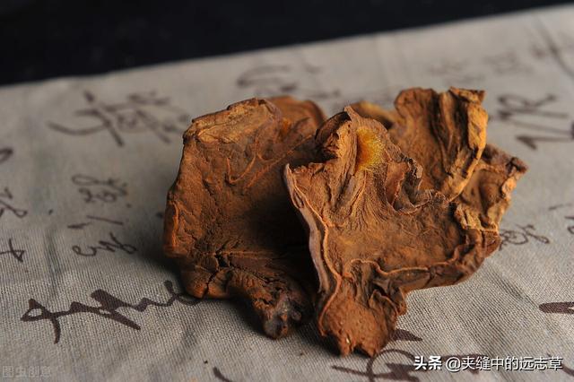 人还未老，腰已先老？三味中药，补肝肾，祛风湿，阴阳双补