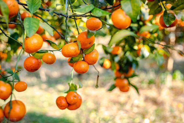 秋季健康饮食知多少？