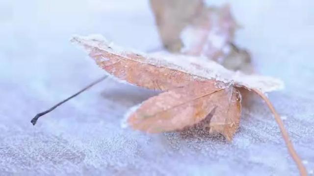 “没有秋天的2021”该如何健康饮茶？