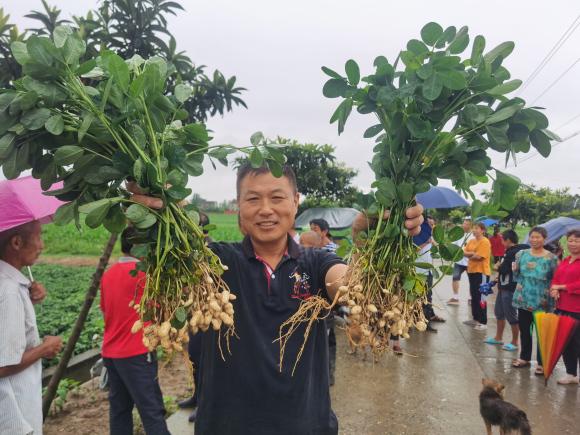 花生三遍药哪个好？花生三遍药厂家怎么选？花生三遍药价格1