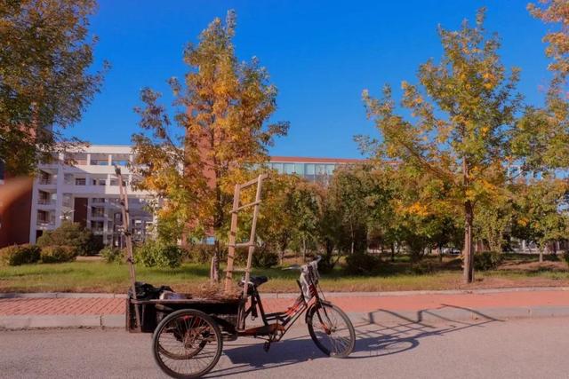 营口大学园