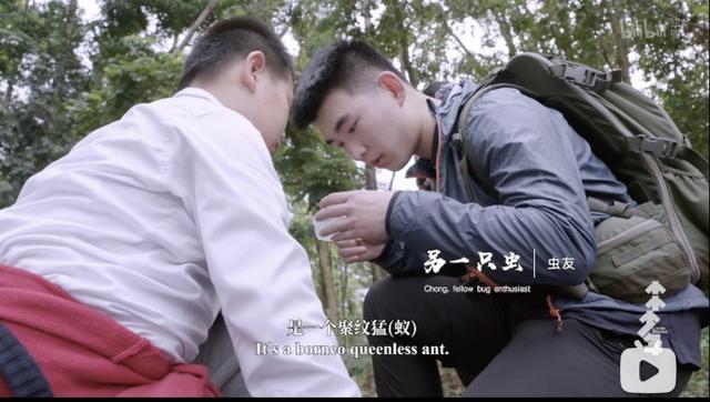 11岁男孩爱好特殊却被父母支持：被父母尊重的孩子，活得有多爽