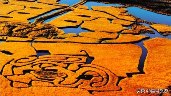 银川旅游景点自驾游攻略（宁夏银川十大景点有哪些）