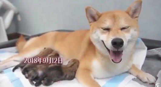 影片剧照