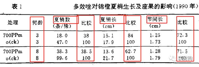 新≠好，控梢老药便宜好用！果皮细腻不影响膨大，还能混配杀虫剂10