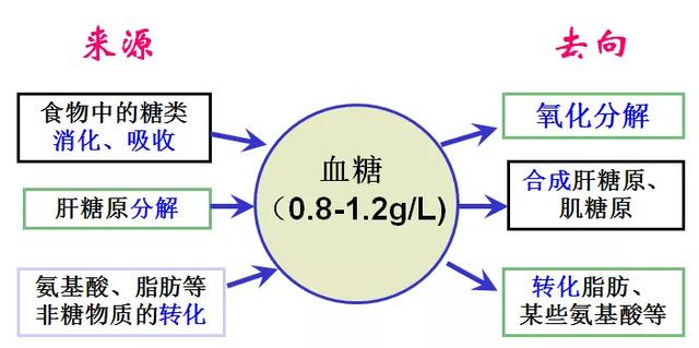 这血红的玩意竟然是苦瓜！妄图吃它降血糖的我露出了苦瓜脸
