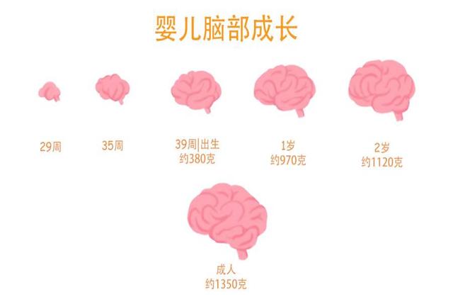 美国儿科学会：孩子出现这3种调皮行为，父母只可解锁不可干预