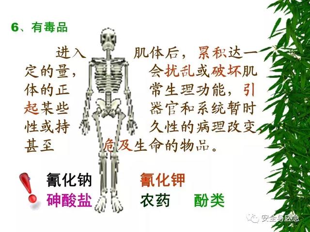 德州真空过滤机